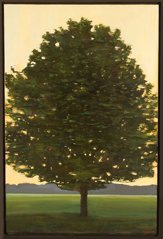THE TREE BY THE ROAD SIDE - Jon MacAdam
