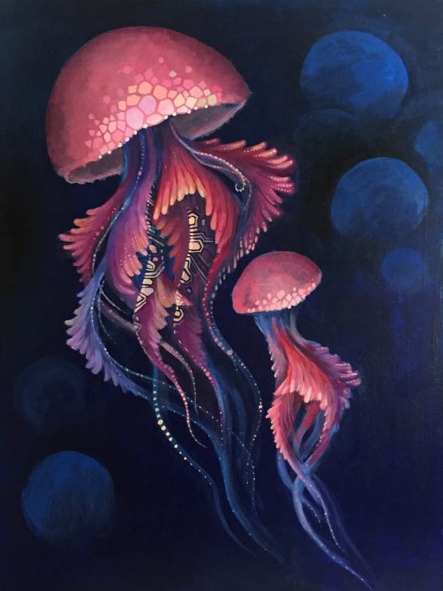 Two beautiful jellyfish (mother and daughter)  - Eva Panchenko