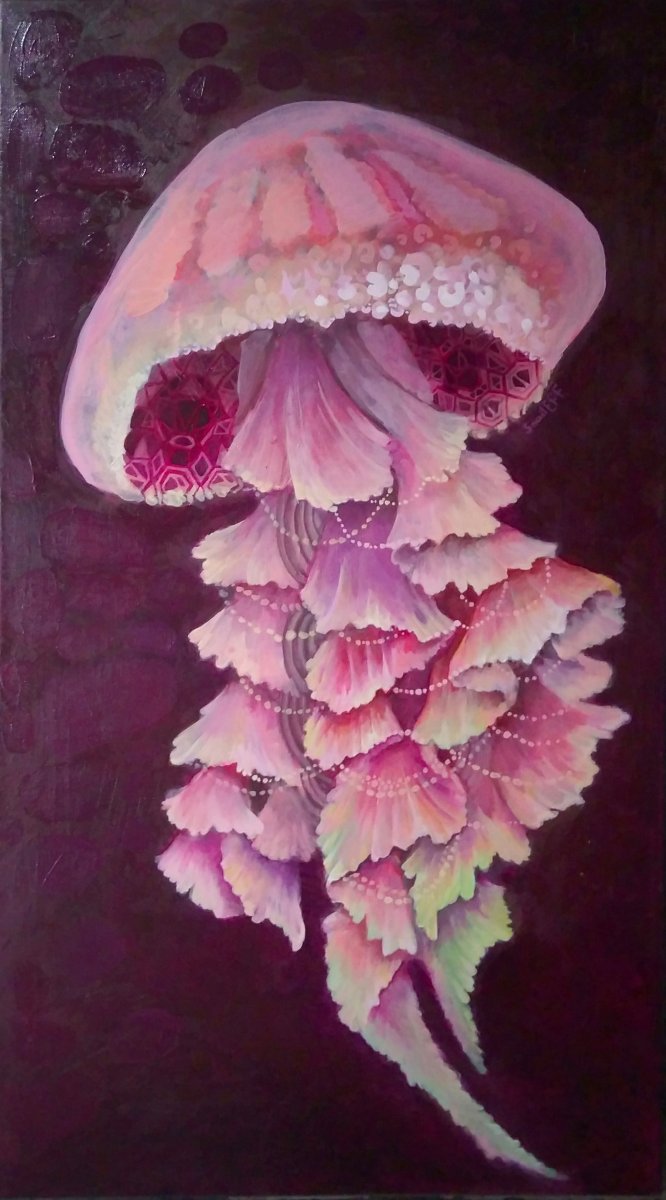 Pink jellyfish - Eva Panchenko