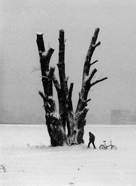 Zagreb - Stanko Abadžić 