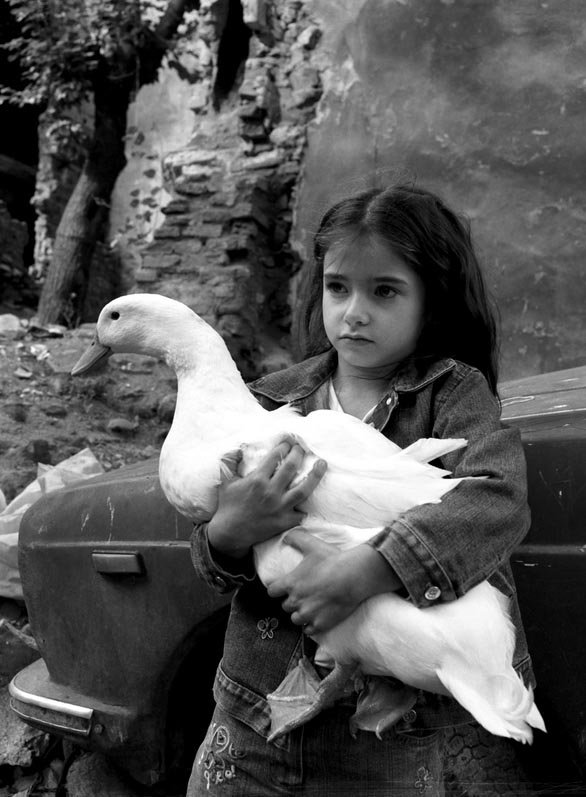 Istambul - Stanko Abadžić 