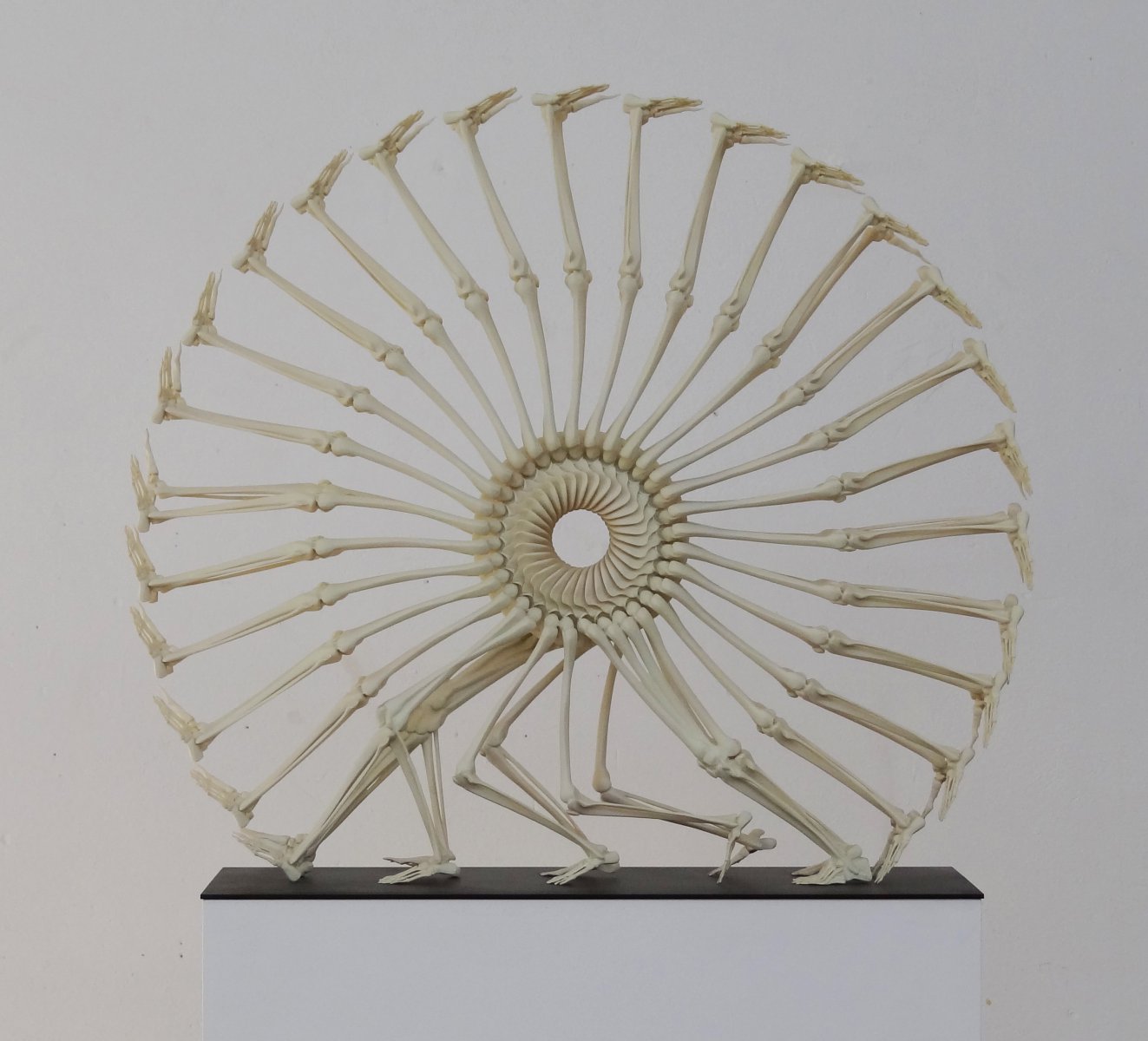 Wheel of Life - Monika Horčicová