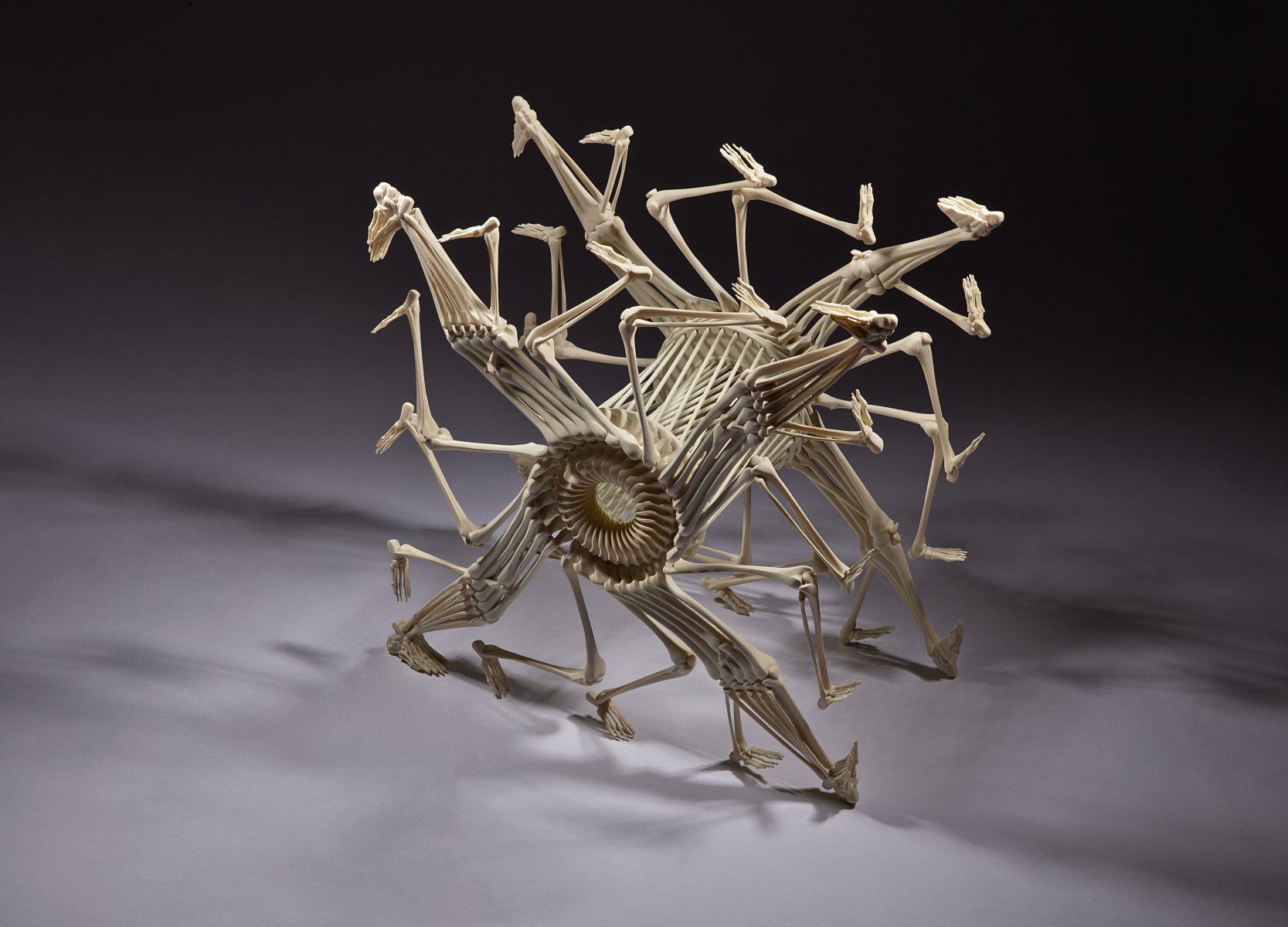 Memento mori - Monika Horčicová