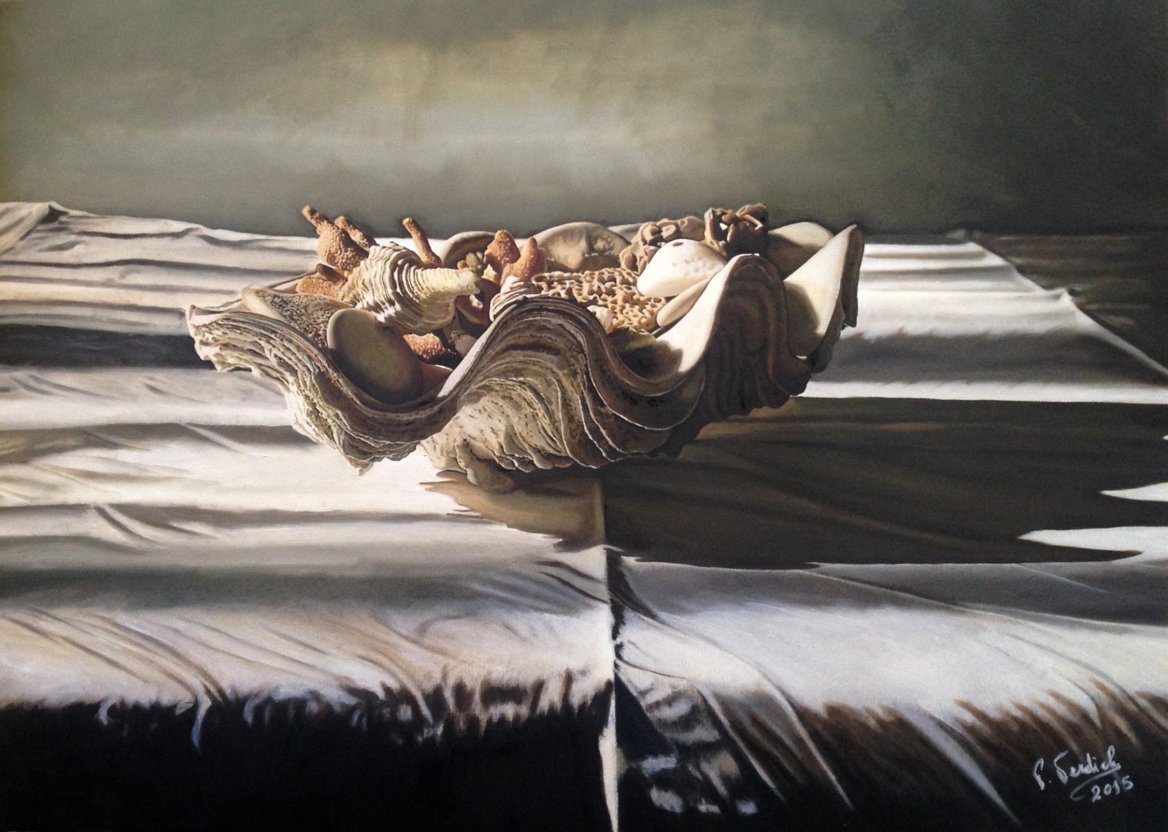 Conchiglie - Paolo Terdich