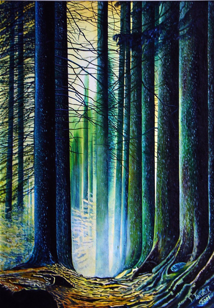 Lost track - Paolo Terdich