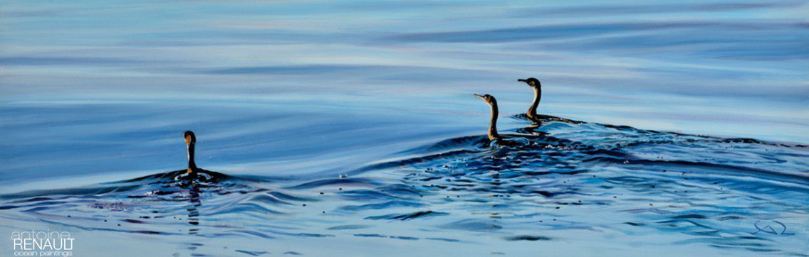 3 cormorans - Antoine Renault