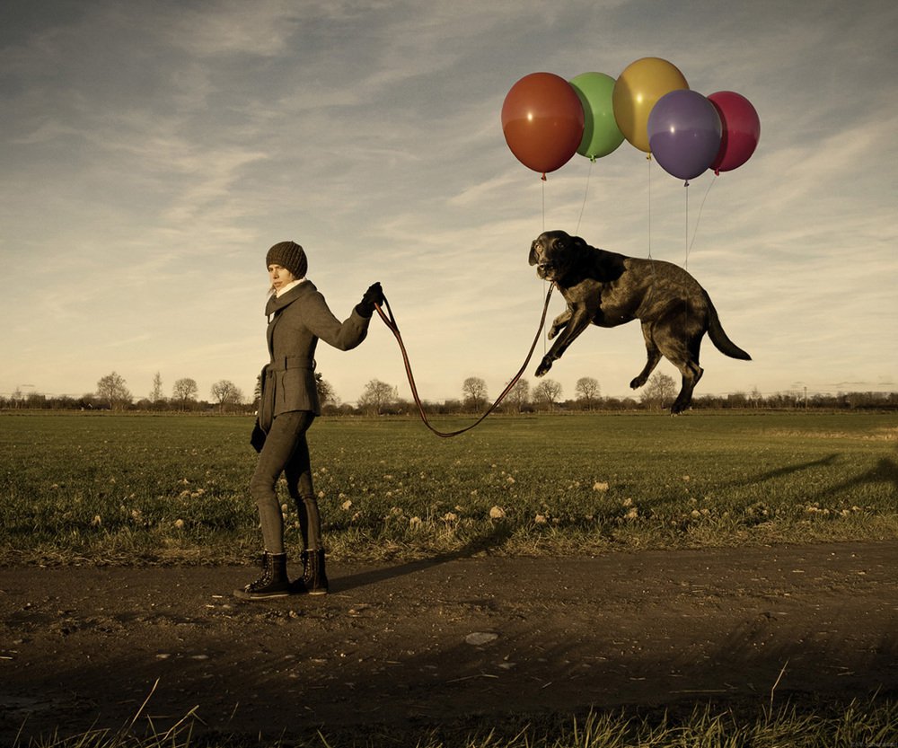 Lazy dog - Erik Johansson
