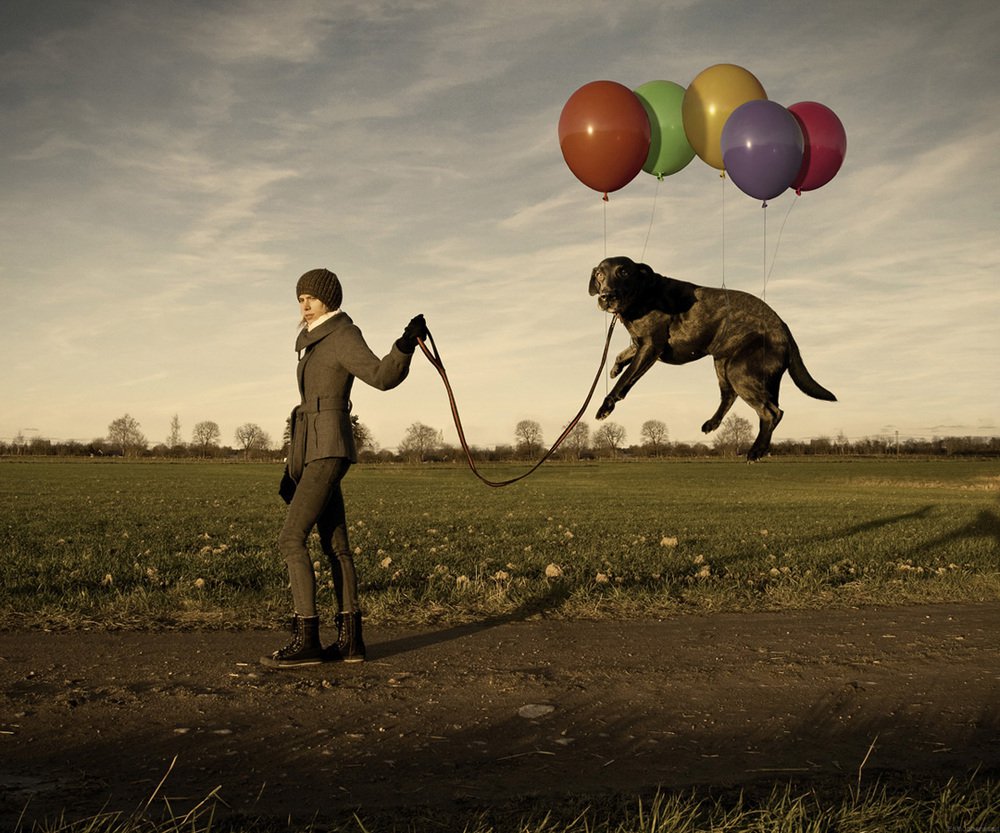 Lazy dog - Erik Johansson