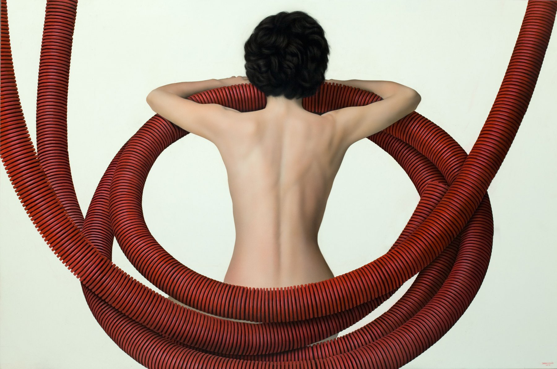 Red circle - Juan Cossio