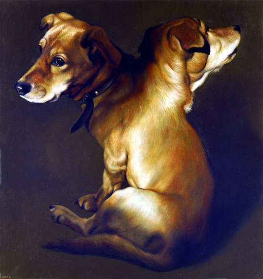 Hund - Dietmar Gross