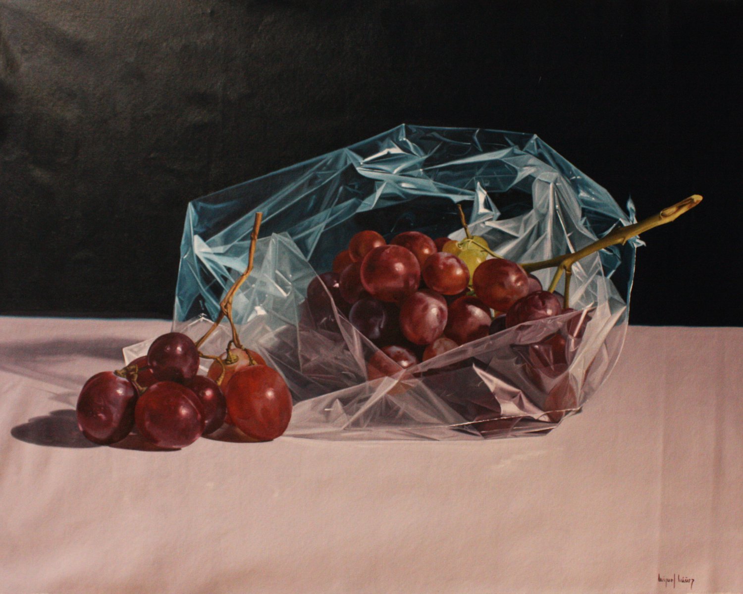 Bolsa con uvas sobre fondo azul - Miguel Angel Nuñez