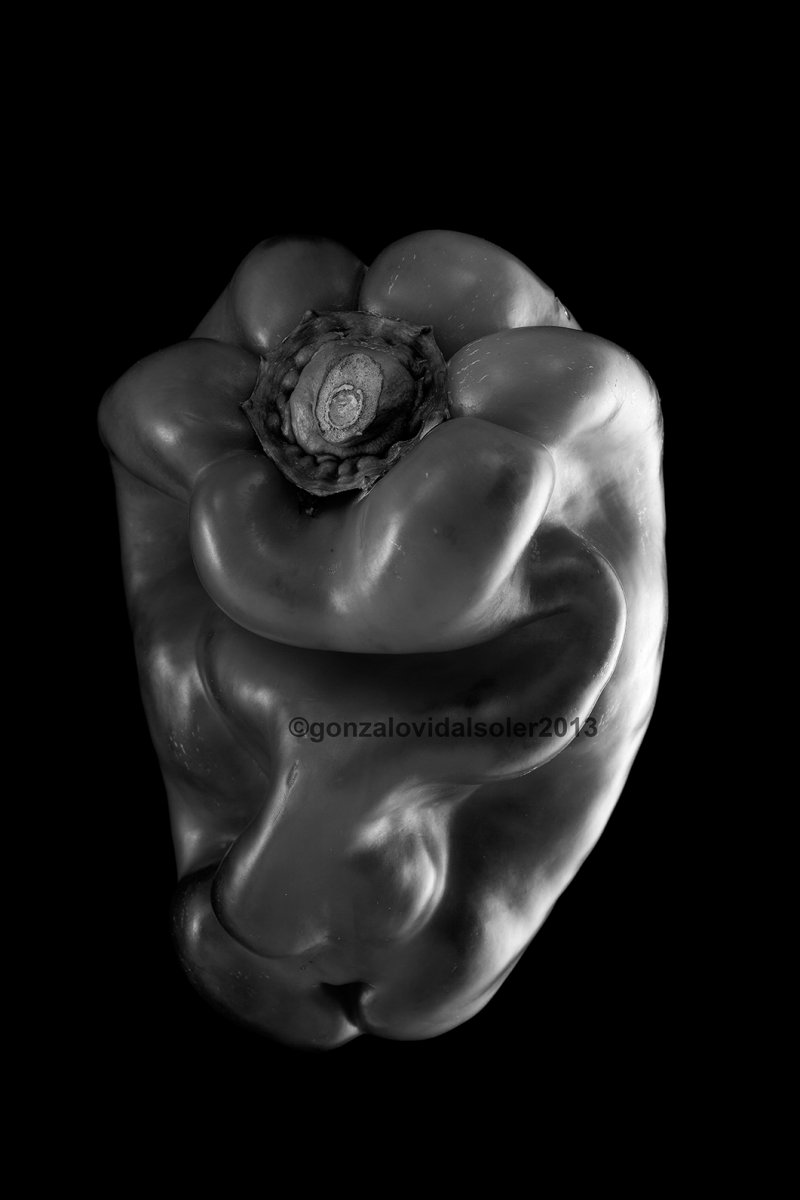 Red Pepper - Gonzalo Vidal Soler 