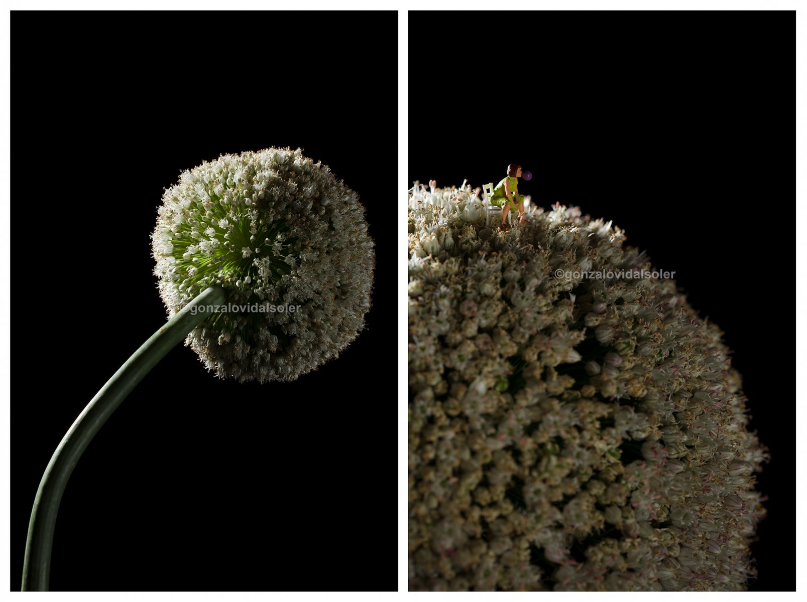 Big Details - Gonzalo Vidal Soler 
