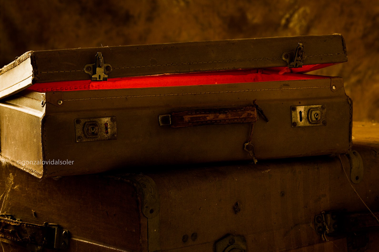 Magic Valise - Gonzalo Vidal Soler 