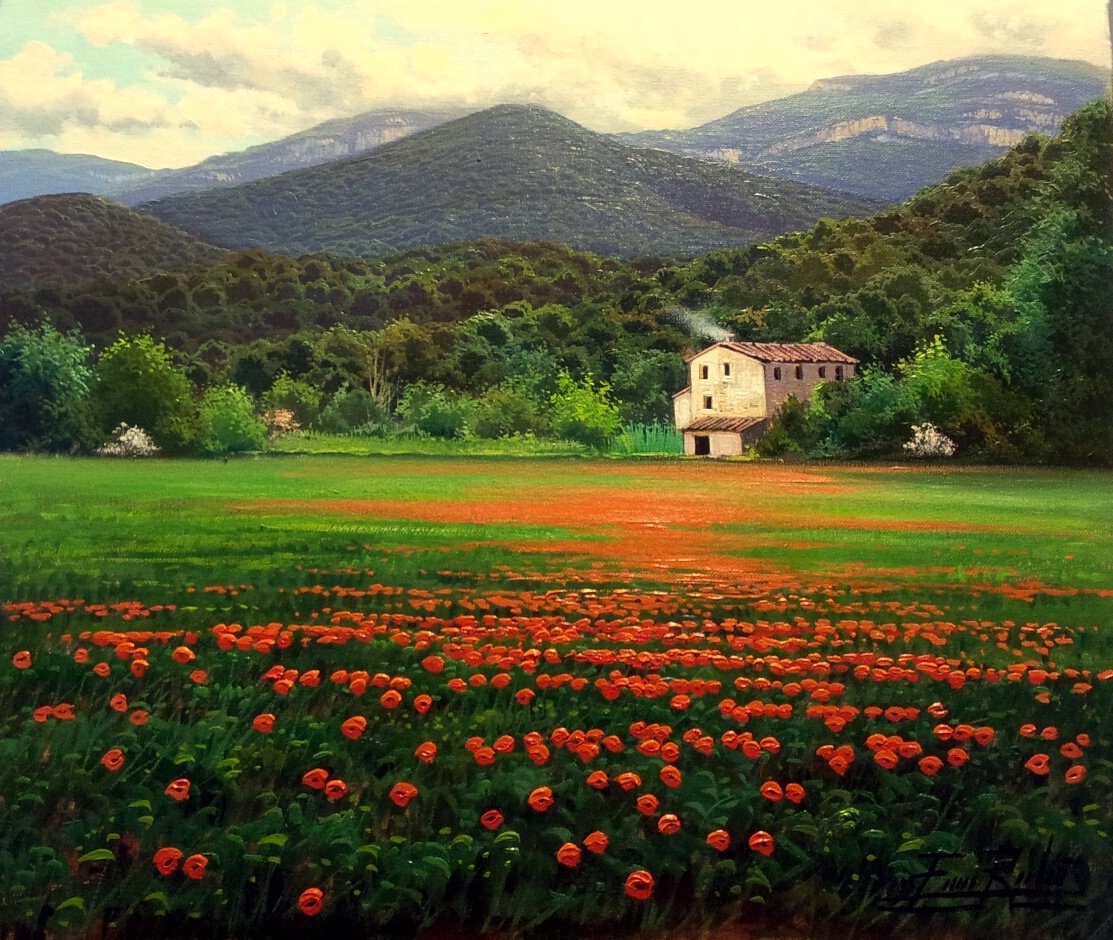 les coquelicots - Enric Rubió