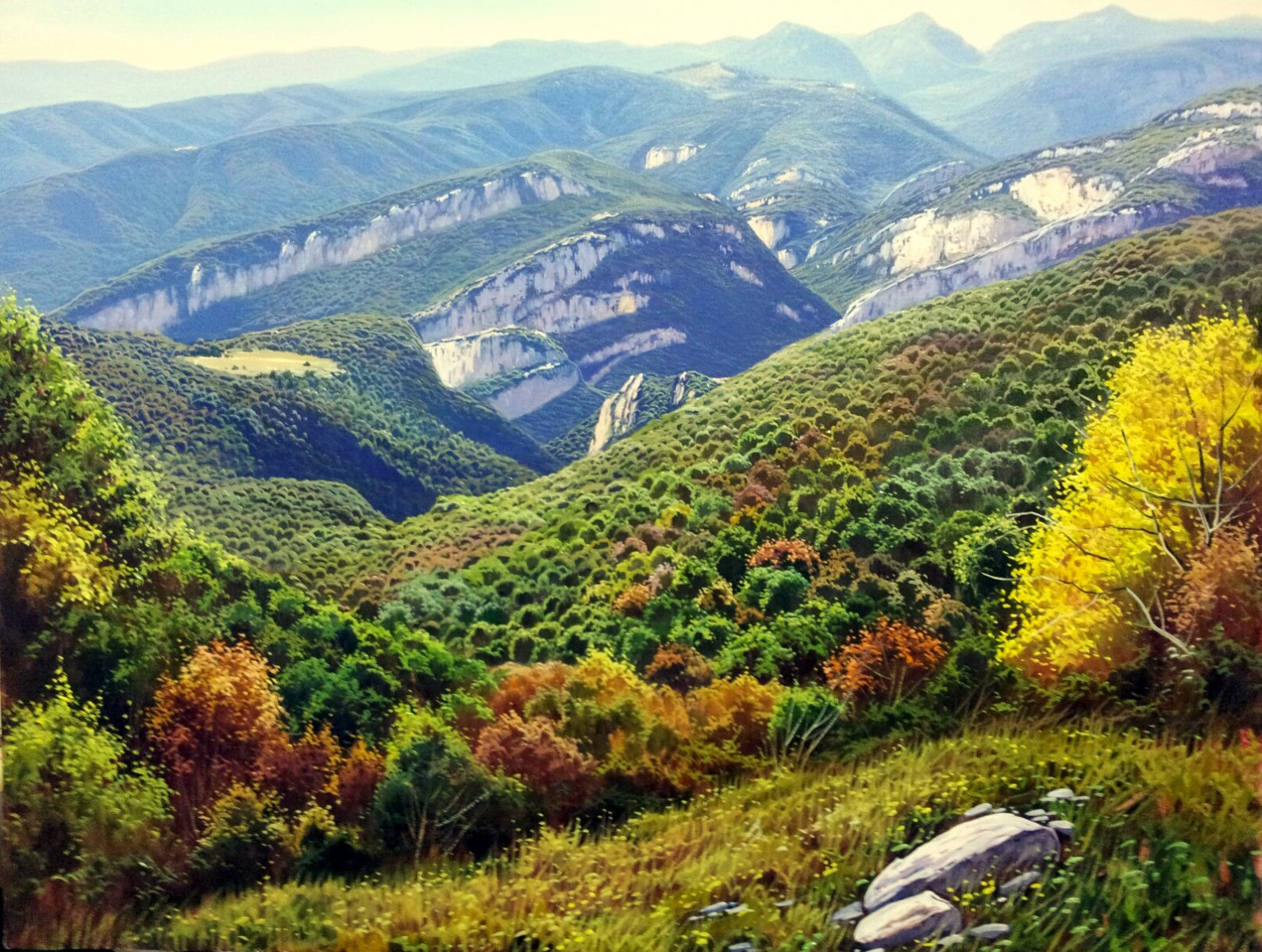 Panorámica - Enric Rubió