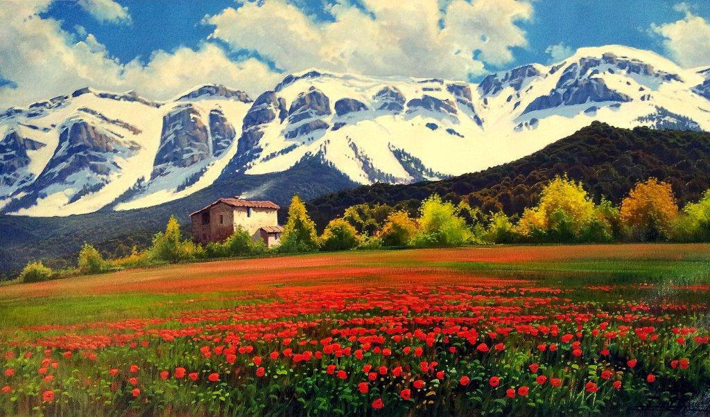 Cadi mountain and poopies - Enric Rubió