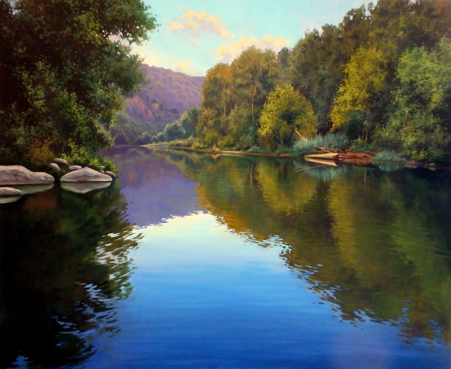 Ter river - Enric Rubió