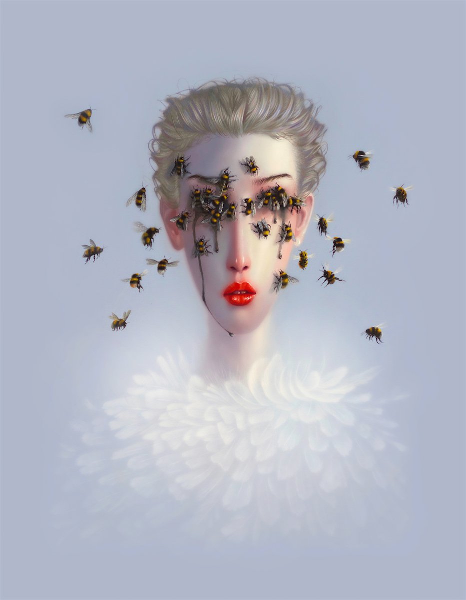 Magnus Furorem - Troy Brooks