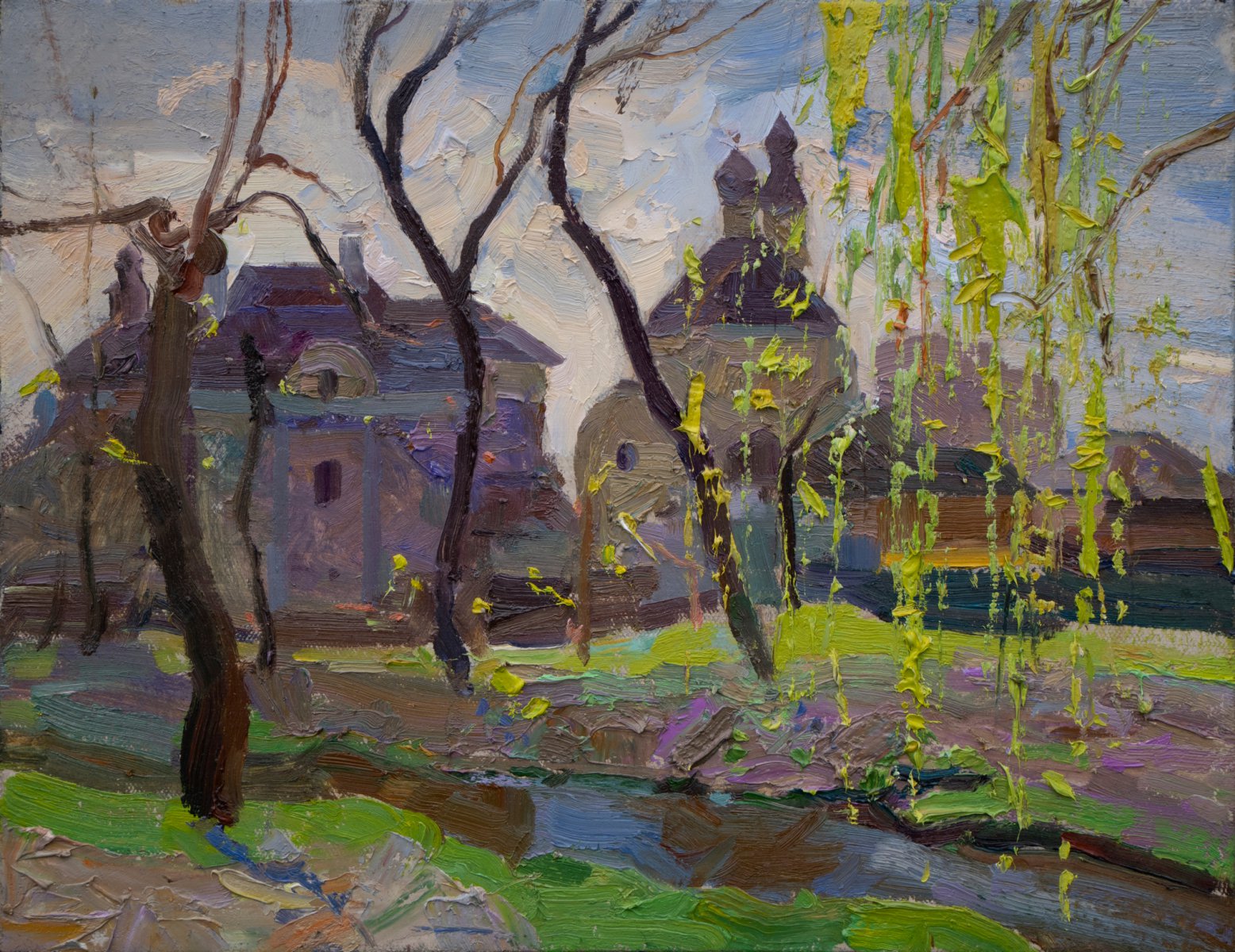 Spring on the Strizen River. Contre-jour - Victor Onyshchenko