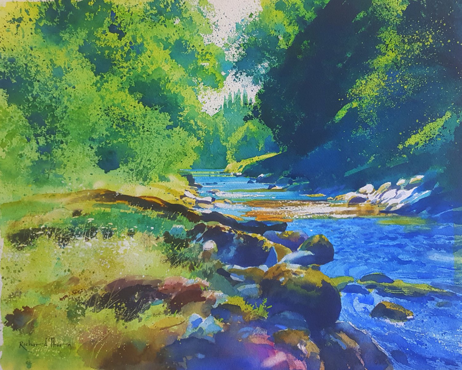 River Dart (at Ashburton country park) - Richard Thorn