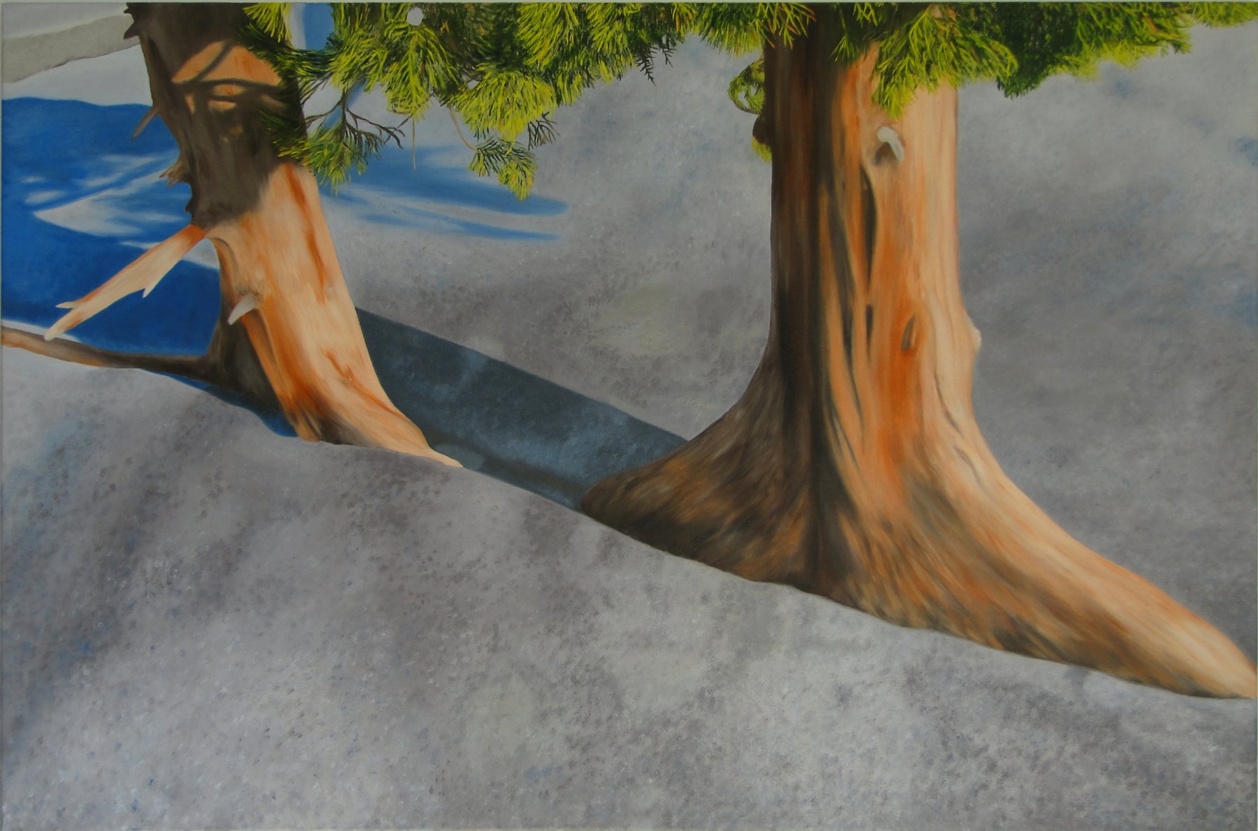 Walking Trees - Christoph Lütke-Stetzkamp