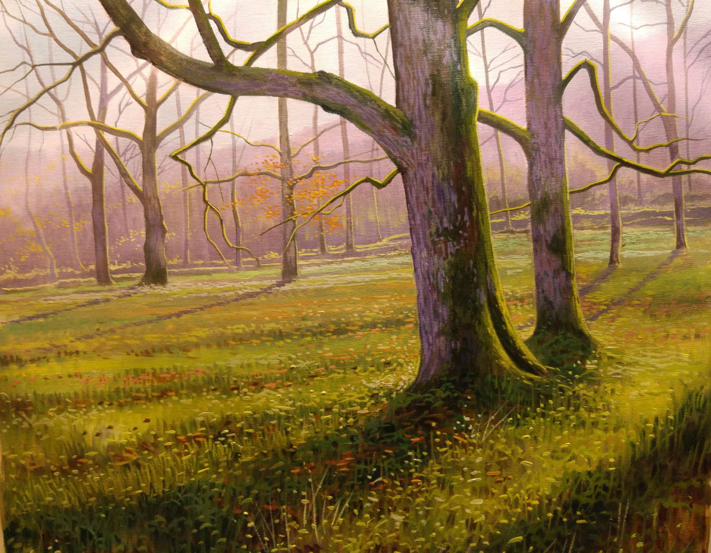 Serie foret- primeras lluces - Enric Rubió