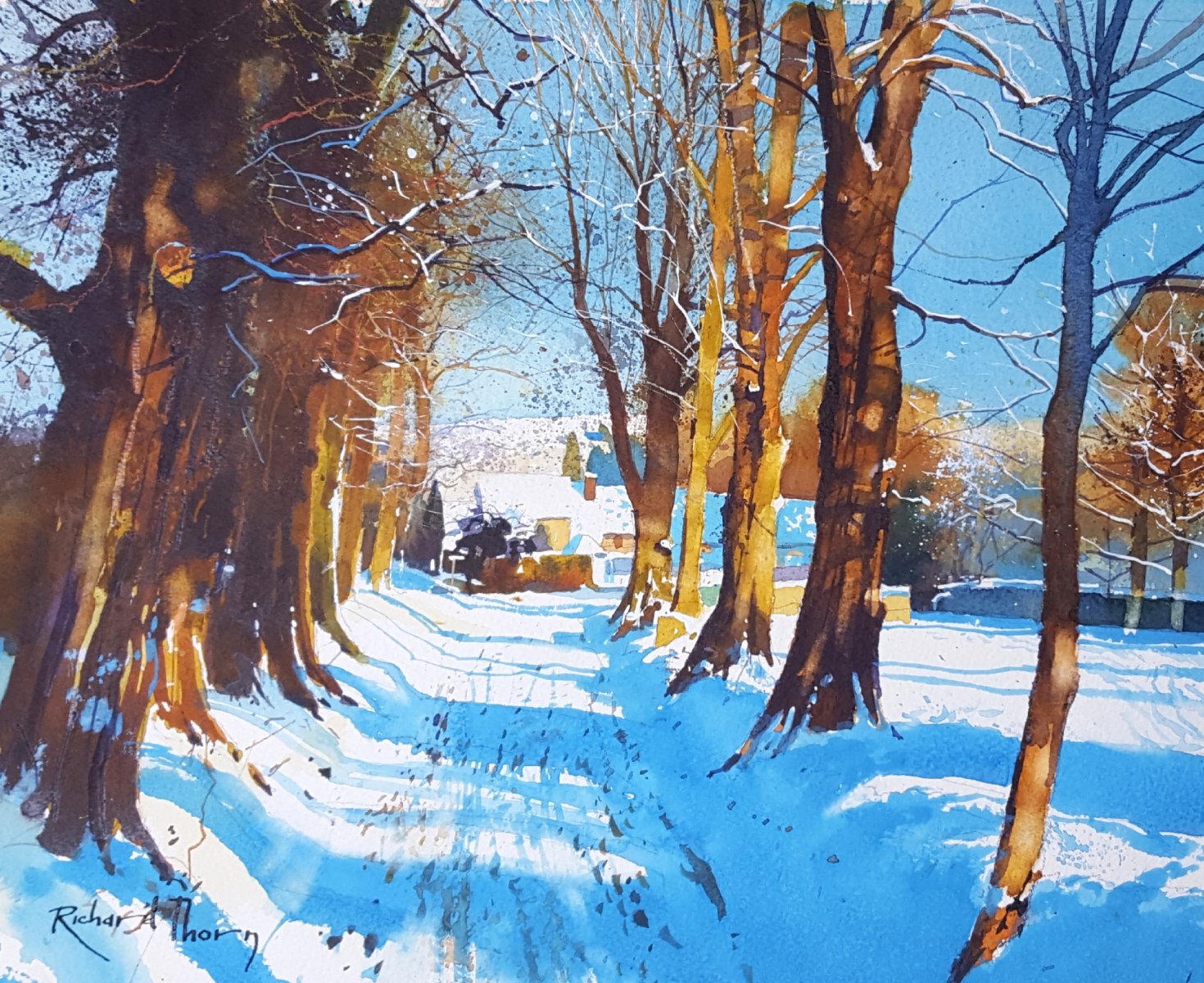 Winter avenue - Richard Thorn
