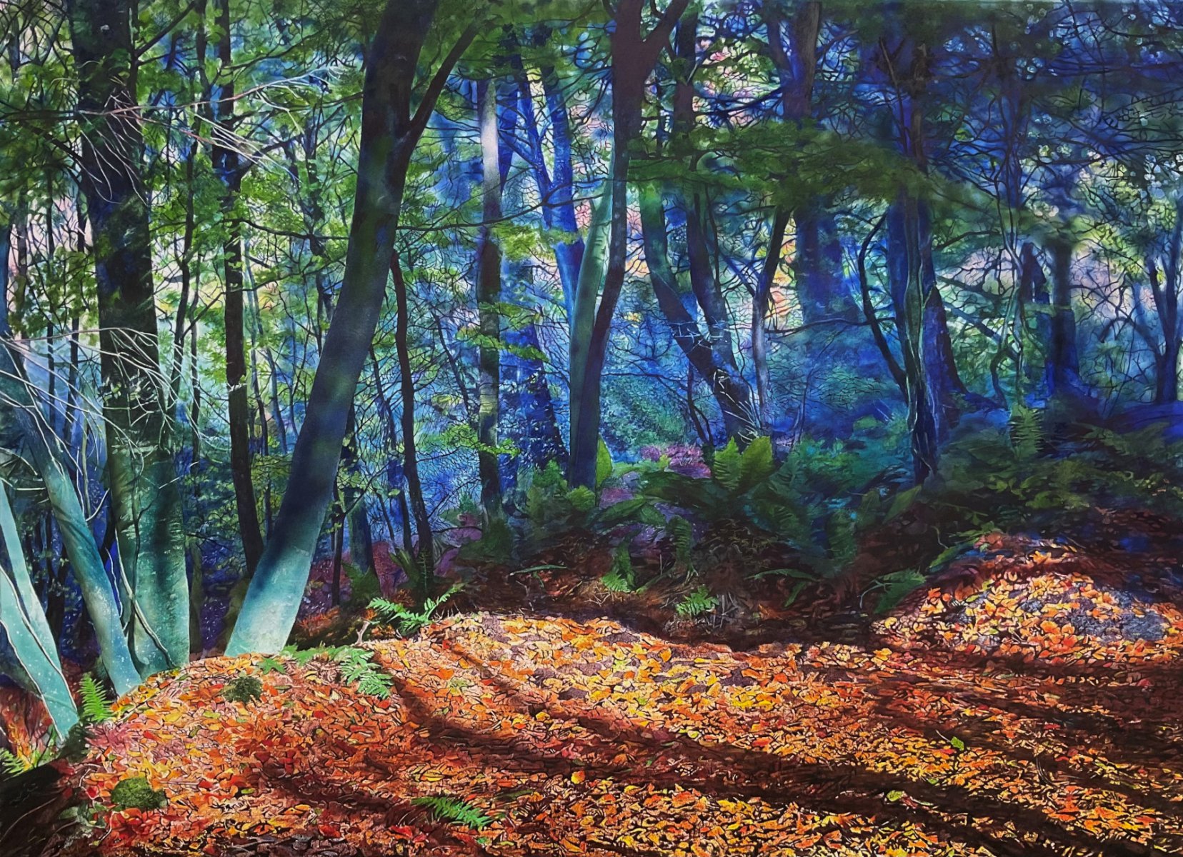 Ramelton woods, Donegal - John Cooney