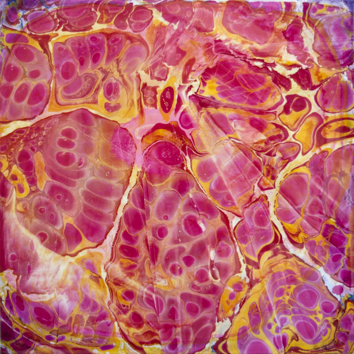 Liquid Images - Sergei Rusakoff
