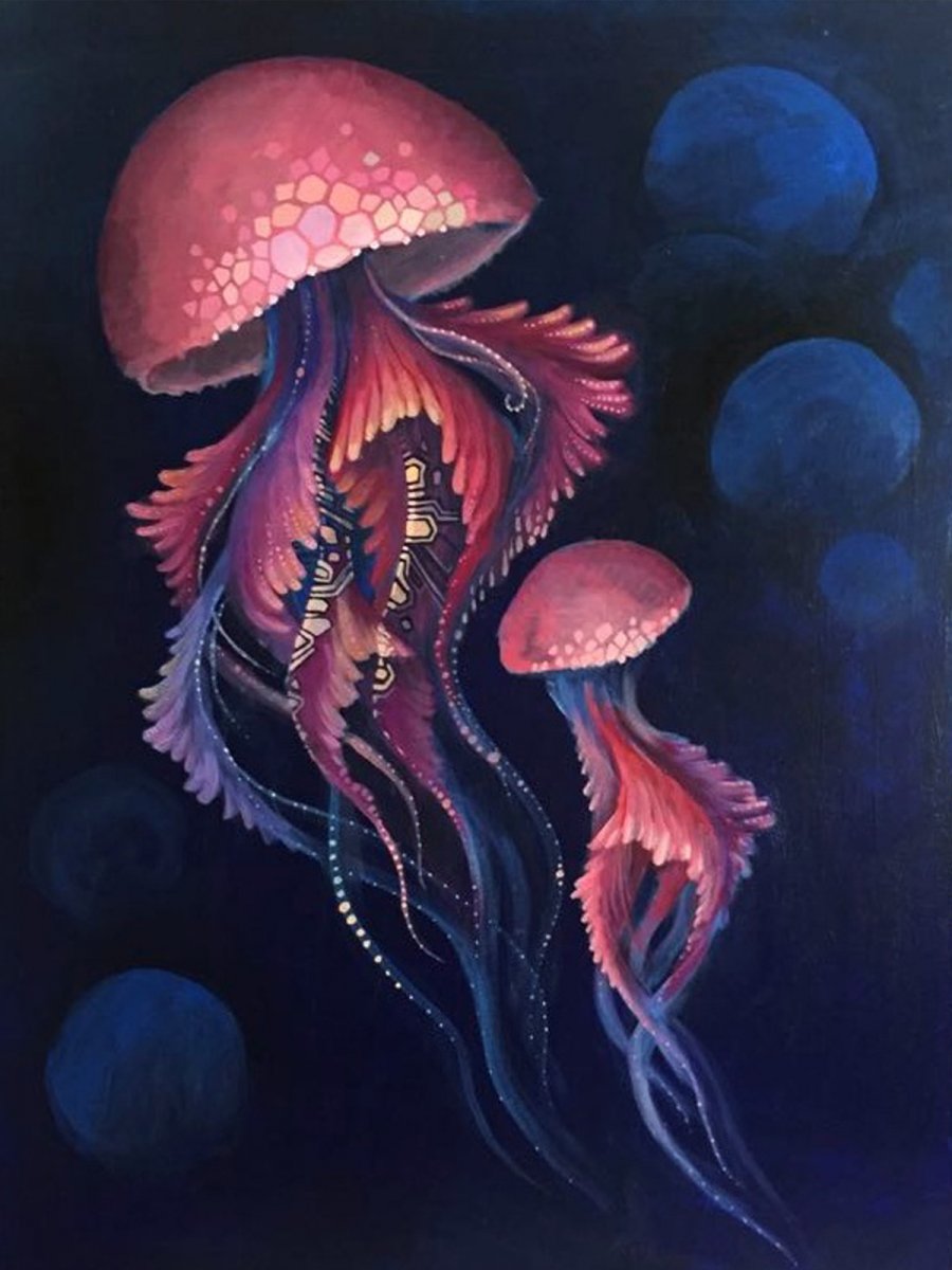 Two beautiful jellyfish (mother and daughter)  - Eva Panchenko