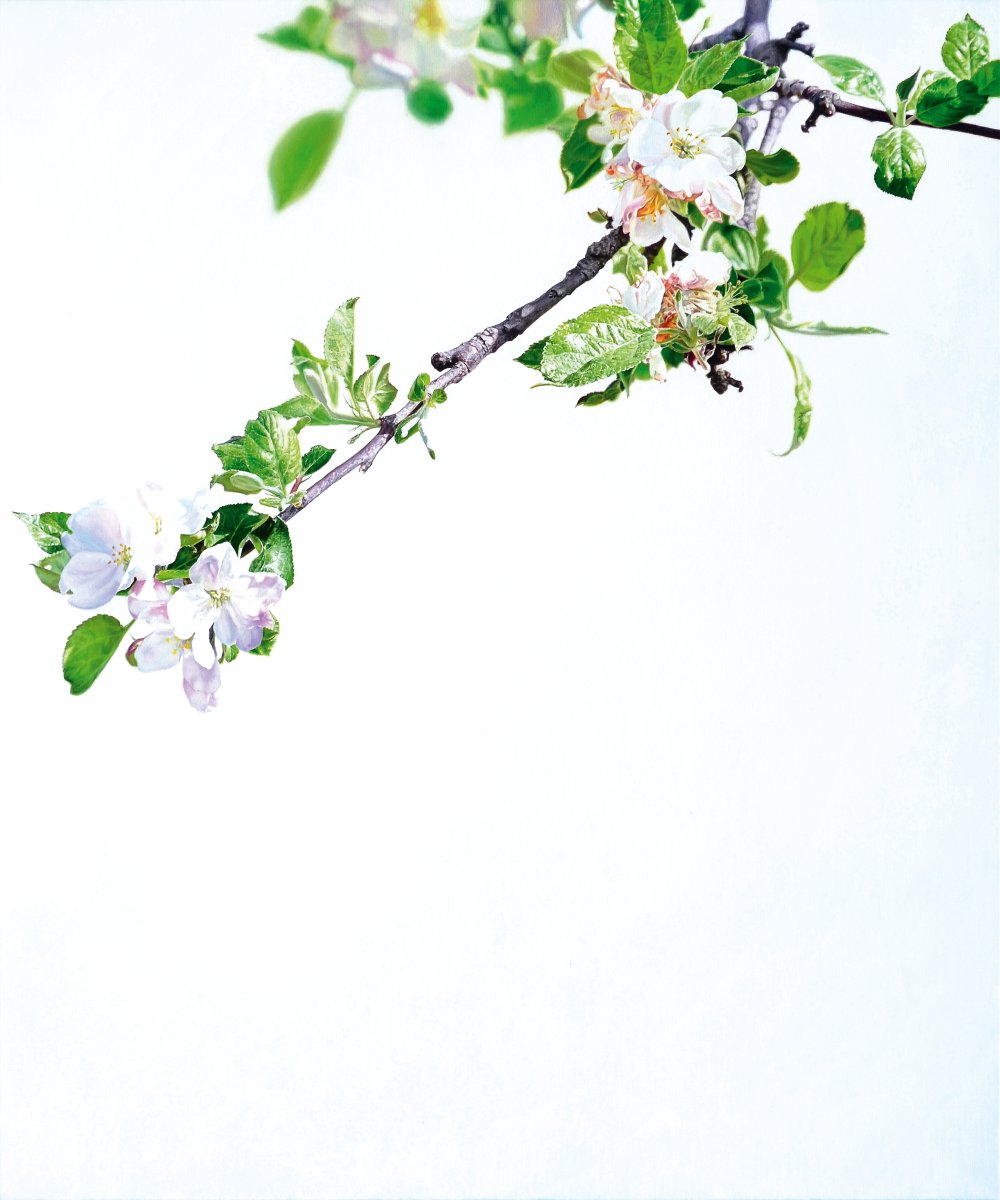Blossom 2 (Whiteout) - Christoph Eberle