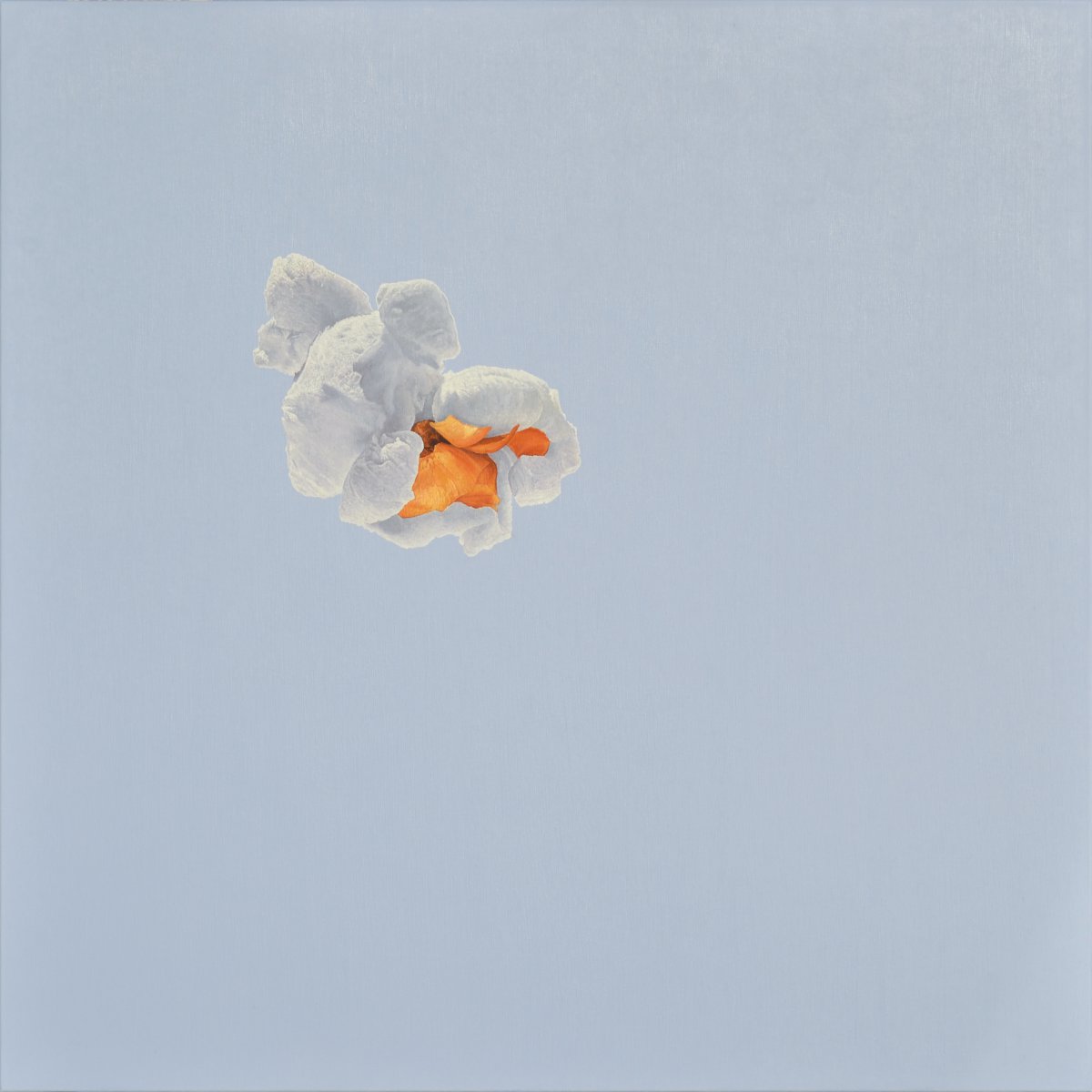 Pop 3 - Christoph Eberle