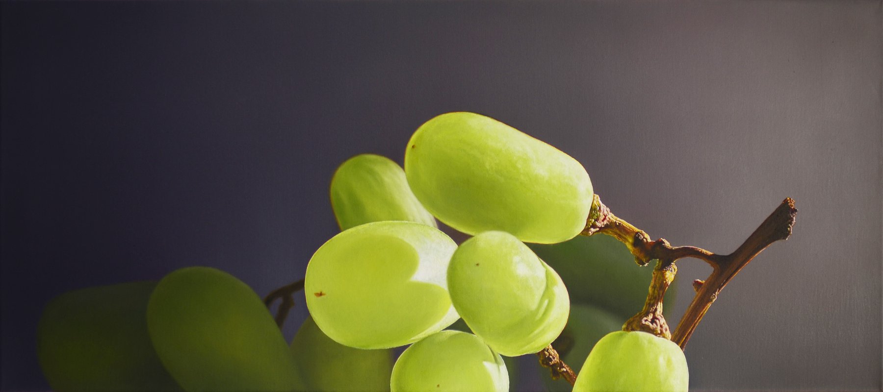 Grapes / Trauben - Christoph Eberle
