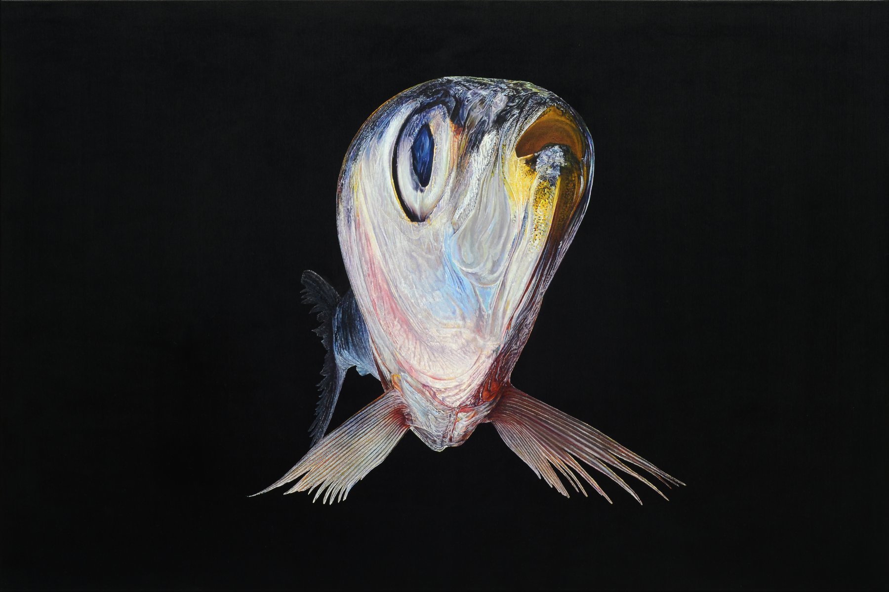 Fish - Christoph Eberle