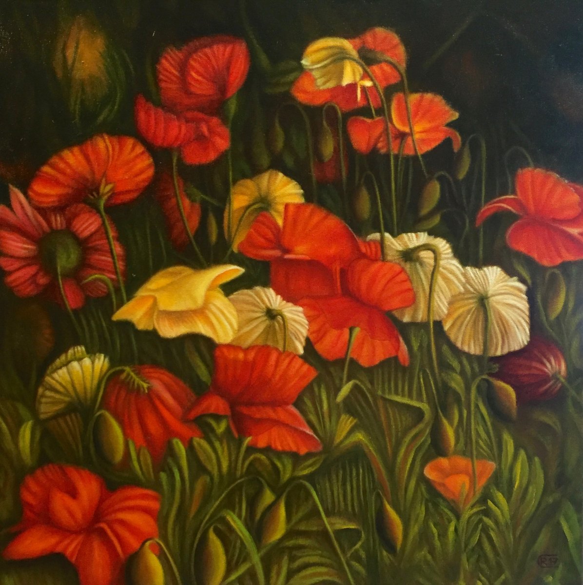 Amapolas - René Cheng