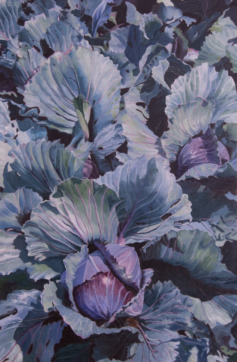 Red Cabbage - Esther Huser