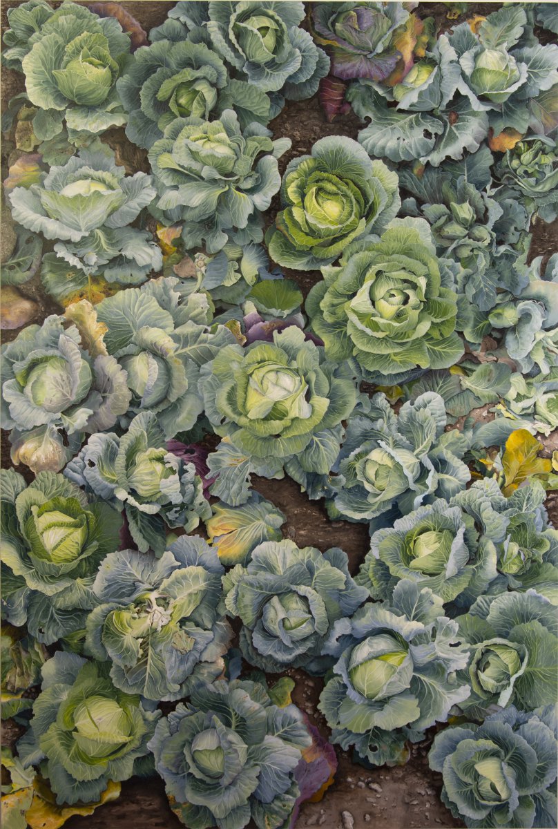 Brassica - Esther Huser