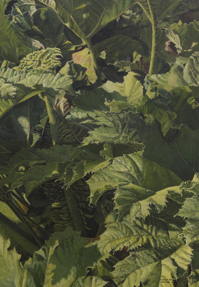 Gunnera 2 - Esther Huser