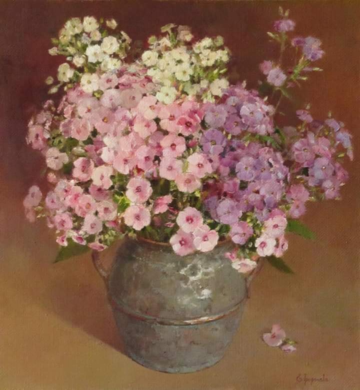 Phlox - Evgenia Trifonova