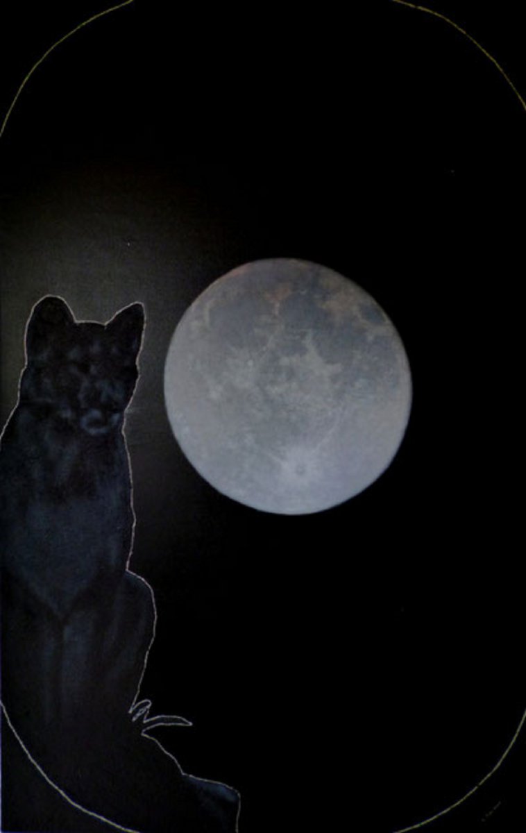 MooN - Art Lacour