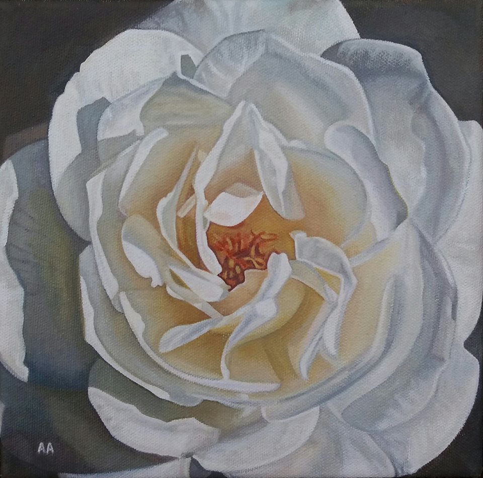 White Rose - Ann Aveyard