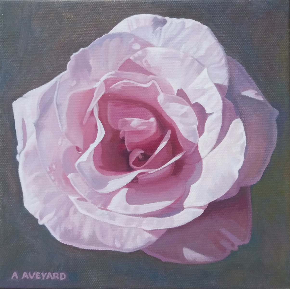 Blossoming Rose - Ann Aveyard