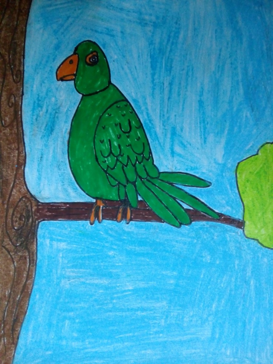 PARROT BIRD - JOHN ( JOHN ART Gallery 2019).