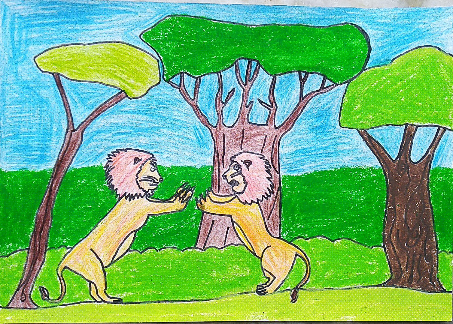 TWO LION FIGHTING FOR SUPREMACY FOR THE AREA - JOHN ( JOHN ART Gallery 2019).