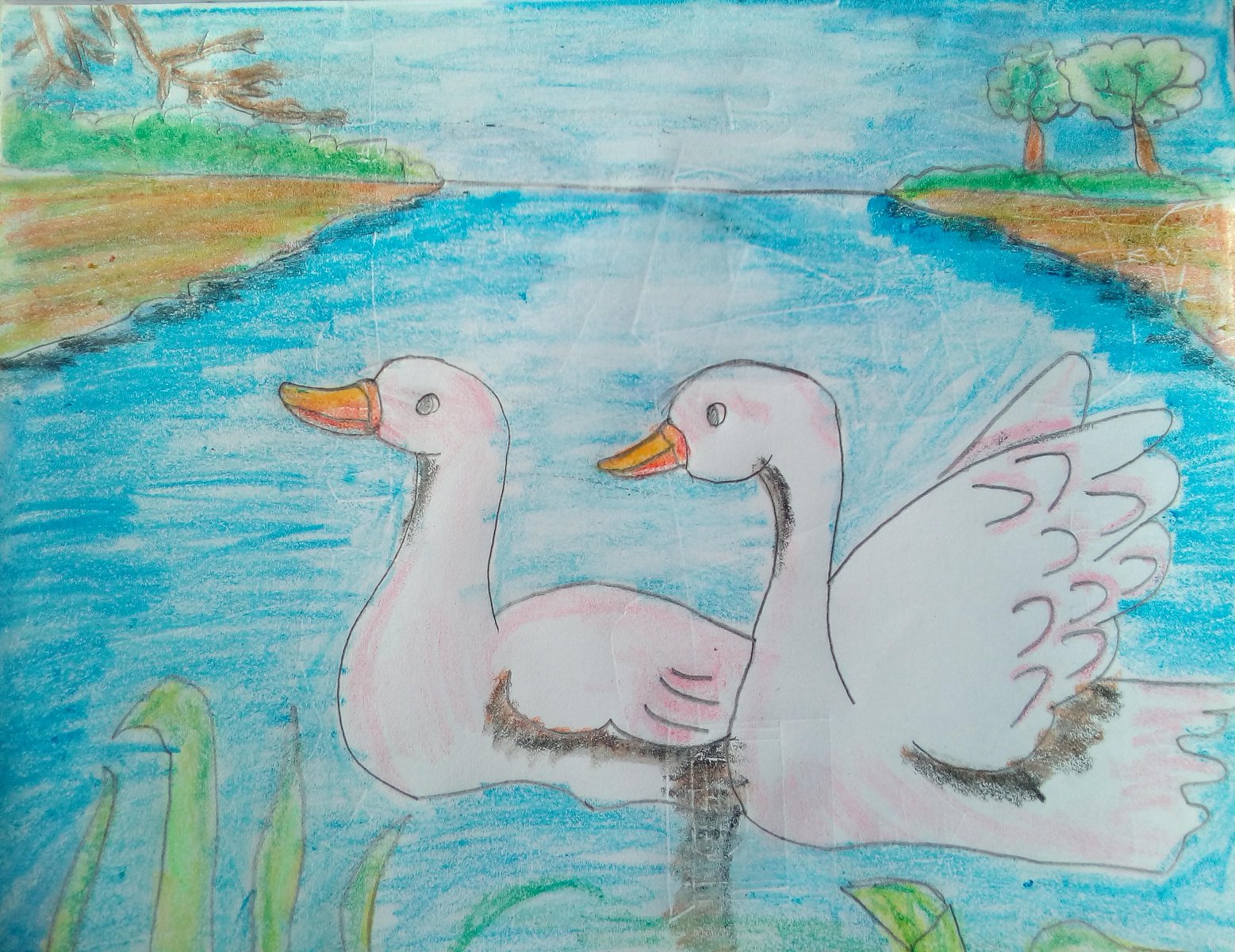 Duck scenery drawing by hand - Scenery Arts - Drawings & Illustration,  Animals, Birds, & Fish, Birds, Ducks & Loons, Other Ducks & Loons - ArtPal