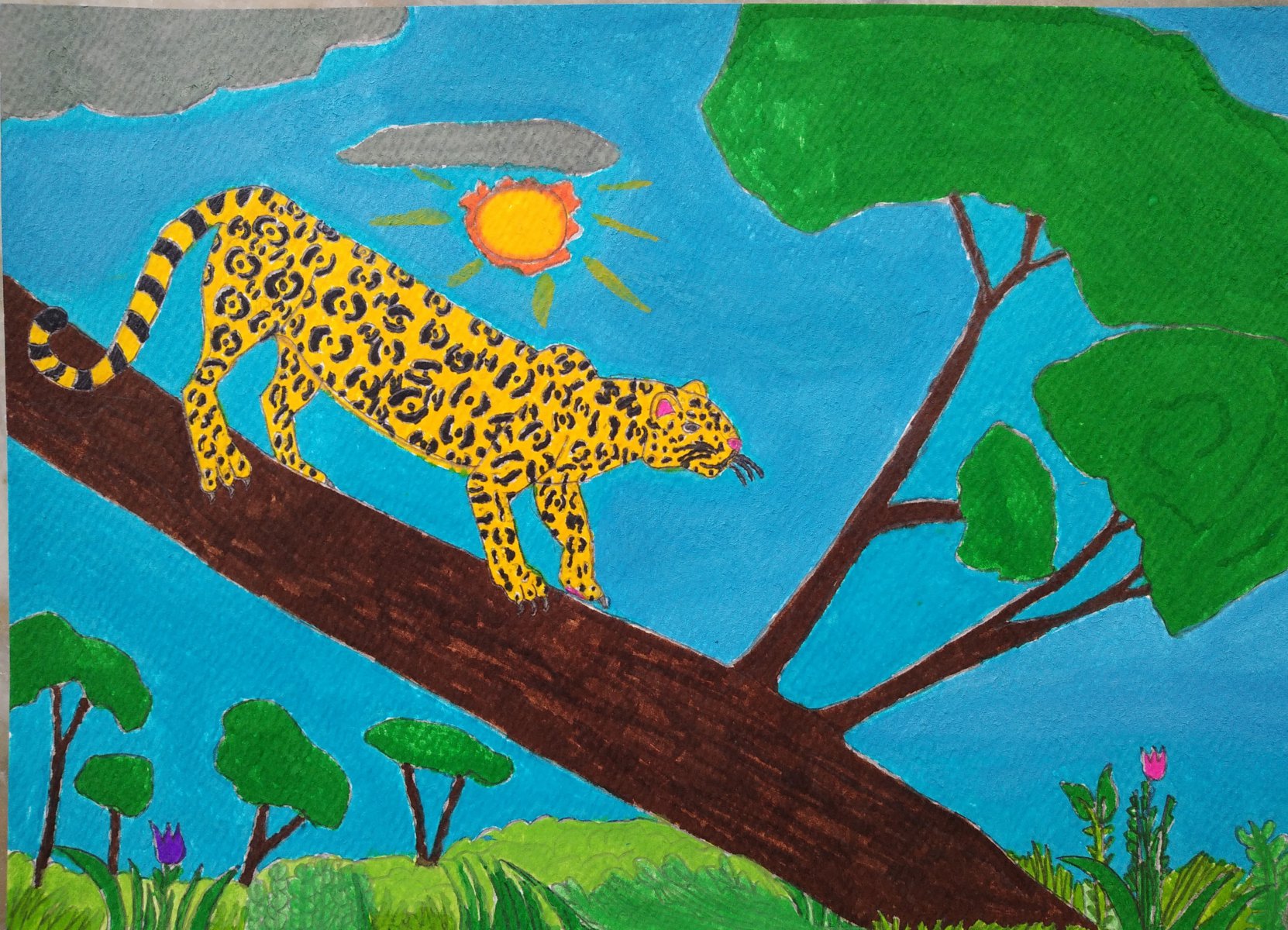 CHEETAH - JOHN ( JOHN ART Gallery 2019).