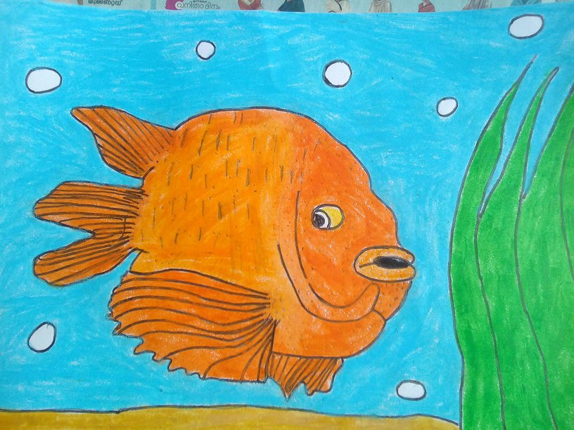 GARIBALDI (FISH) - JOHN ( JOHN ART Gallery 2019).