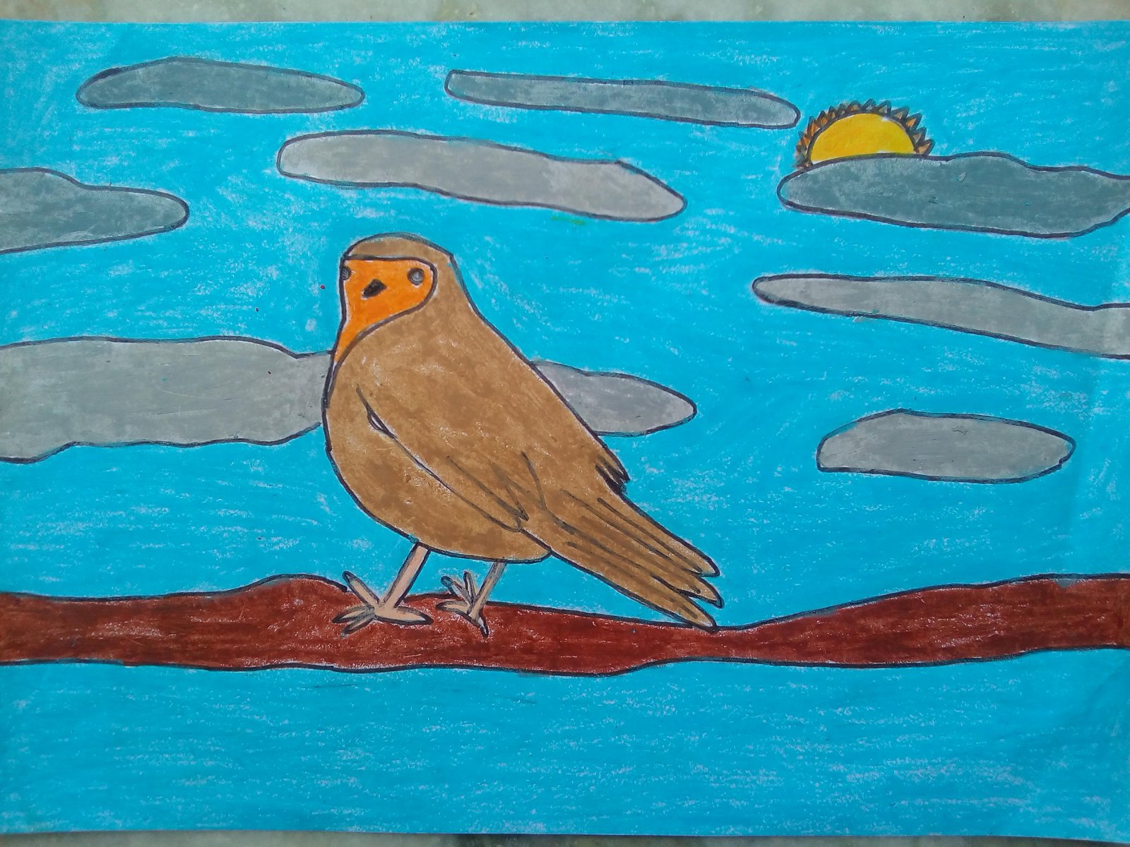 ROBIN ( BIRD) - JOHN ( JOHN ART Gallery 2019).