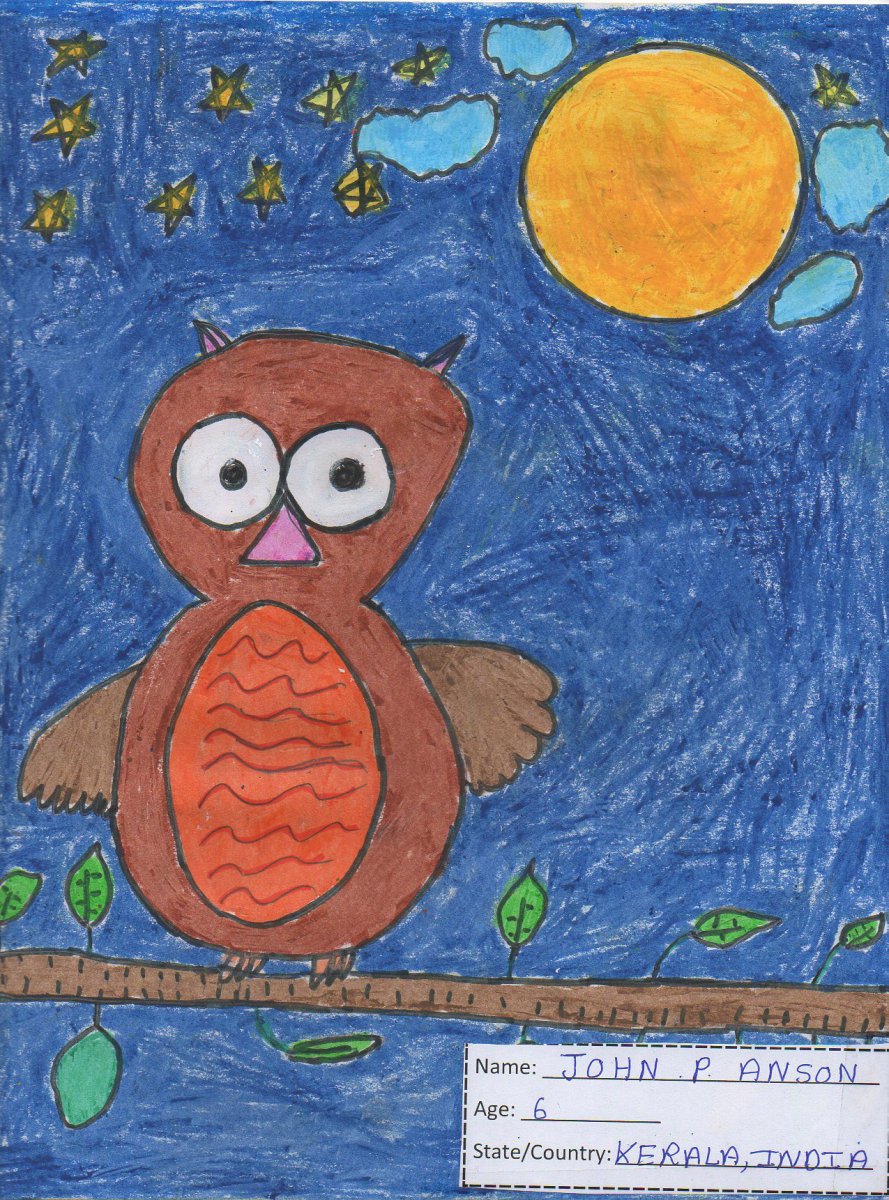 OWL AT NIGHT ( This drawing and painting done when John was in Grade-I For OWL ART Contest in U.S.A.). - JOHN ( JOHN ART Gallery 2019).